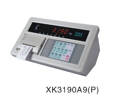 XK3190A9P
